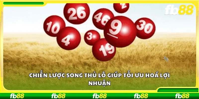 Chiến lược song thủ lô giúp tối ưu hóa lợi nhuận