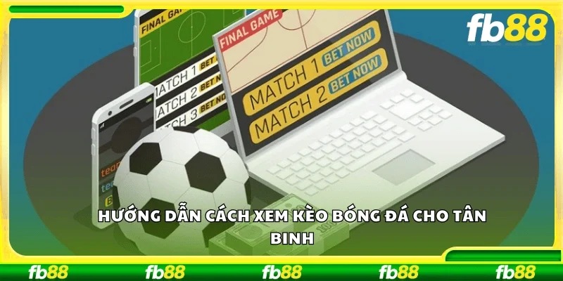 Hướng dẫn cách xem kèo bóng đá cho tân binh