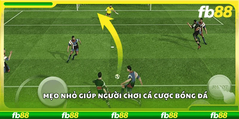 Mẹo nhỏ giúp người chơi cá cược bóng đá